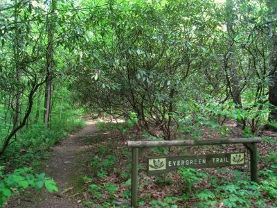 Bowman's Hill Wildflower Preserve, Pennsylvania
