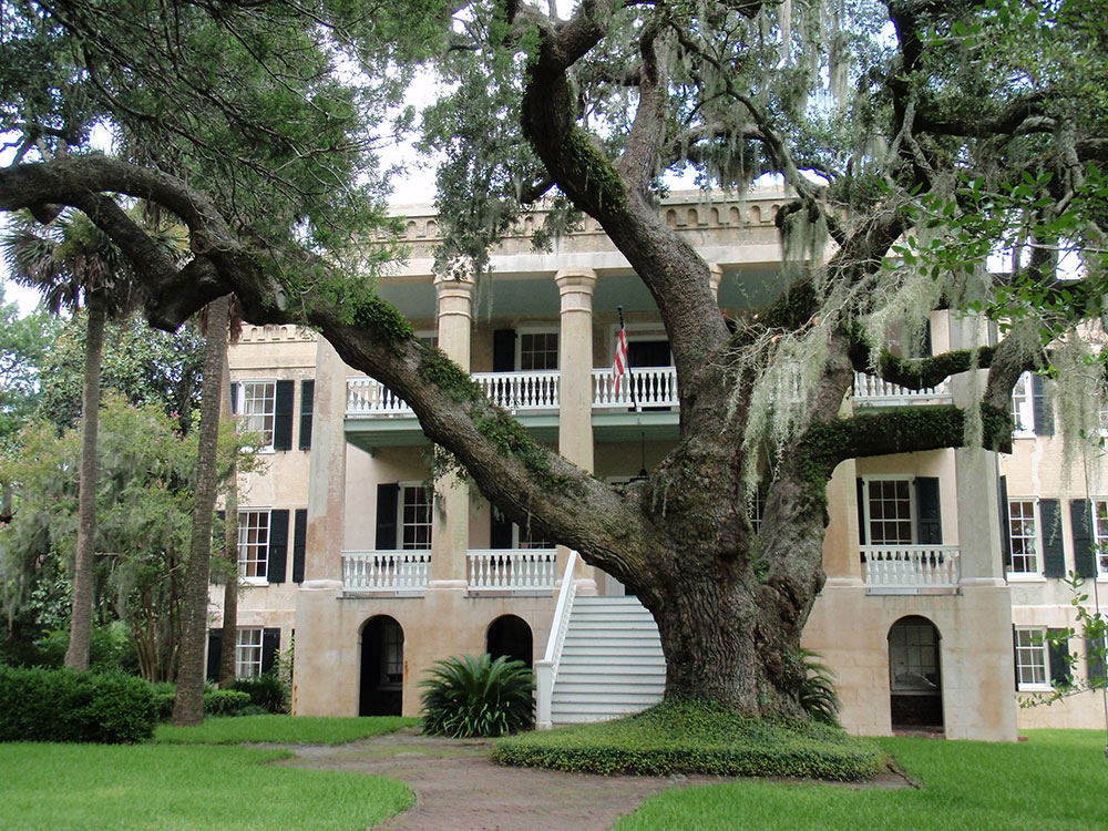 mt-sassafras-walkway