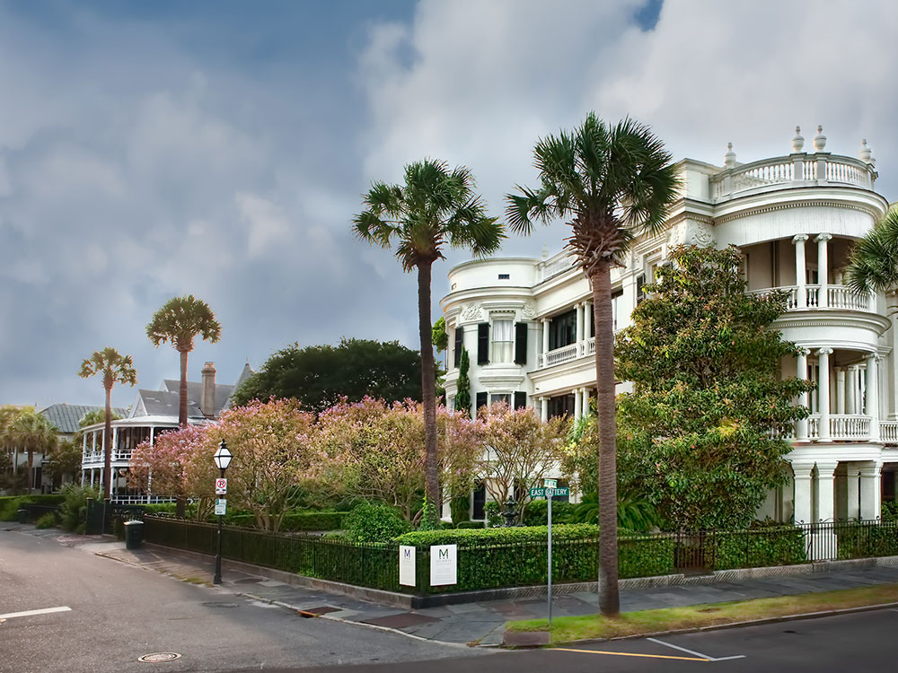 angel-oak-tree-surrounding-trees