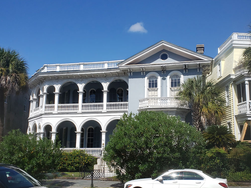 angel-oak-tree-ground