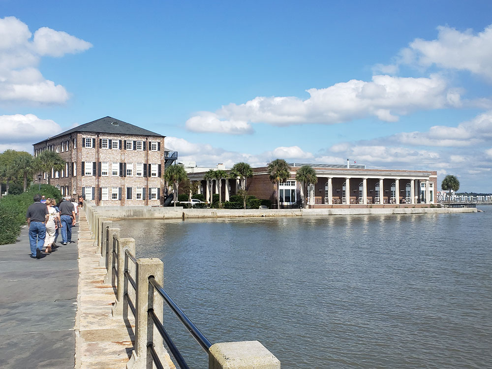 angel-oak-tree-surrounding-trees