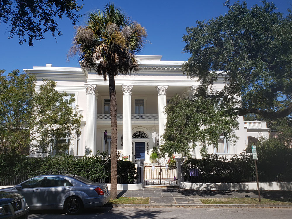 angel-oak-tree-ground