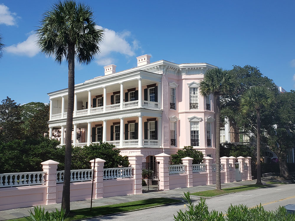 angel-oak-tree-behind-branches