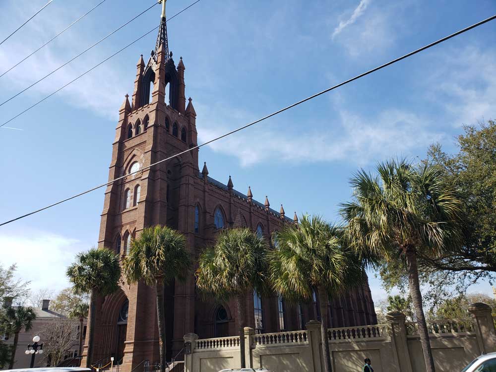 angel-oak-tree-behind-branches