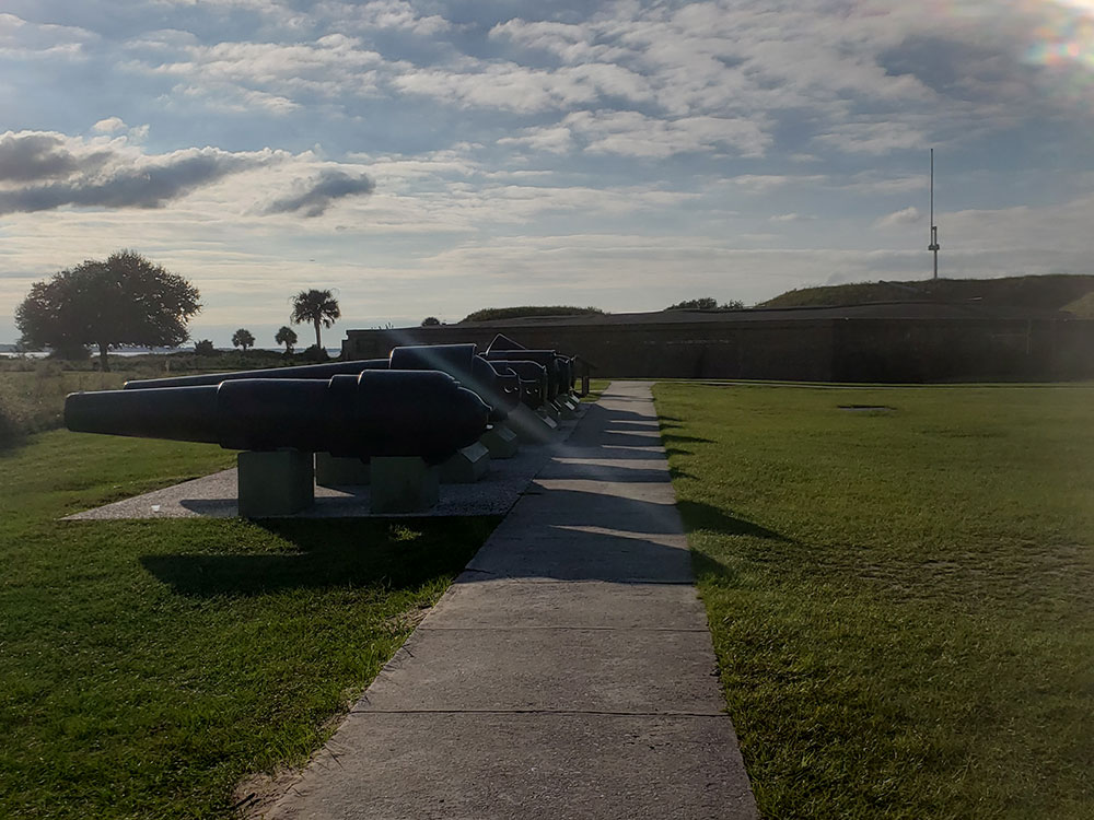 angel-oak-tree-behind-branches