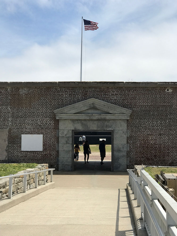 angel-oak-tree-ground