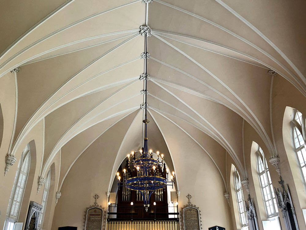 angel-oak-tree-behind-branches