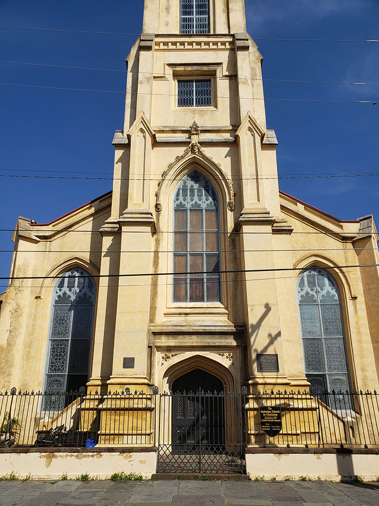 angel-oak-tree-ground