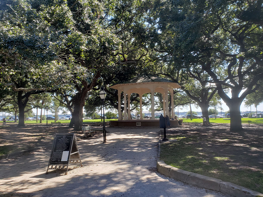 angel-oak-tree-behind-branches