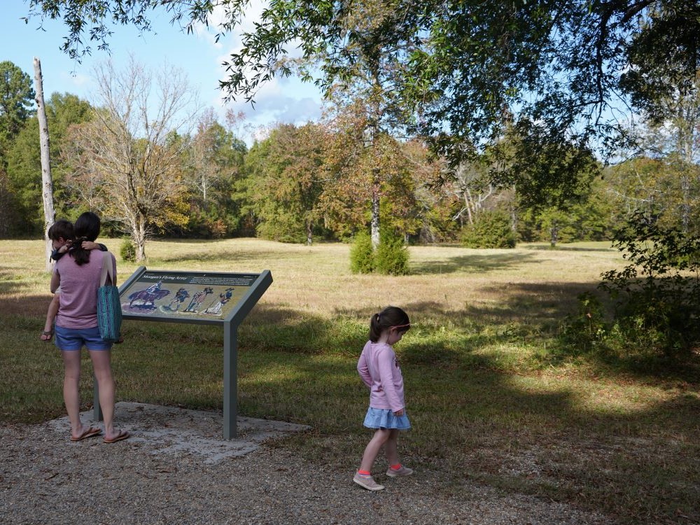 mt-sassafras-walkway