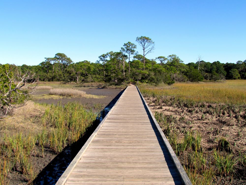 mt-sassafras-walkway
