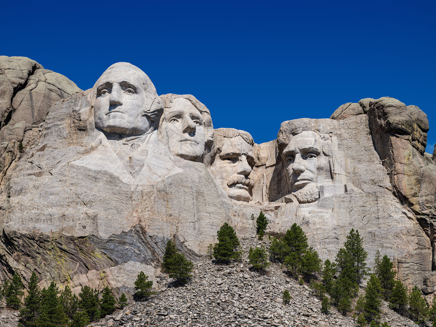 Mardi Gras Aligator Float