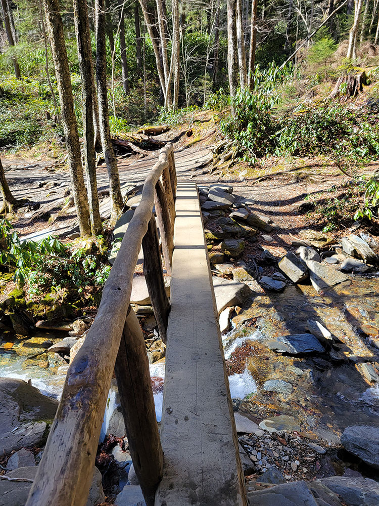 Laurel Falls Alternate Angle