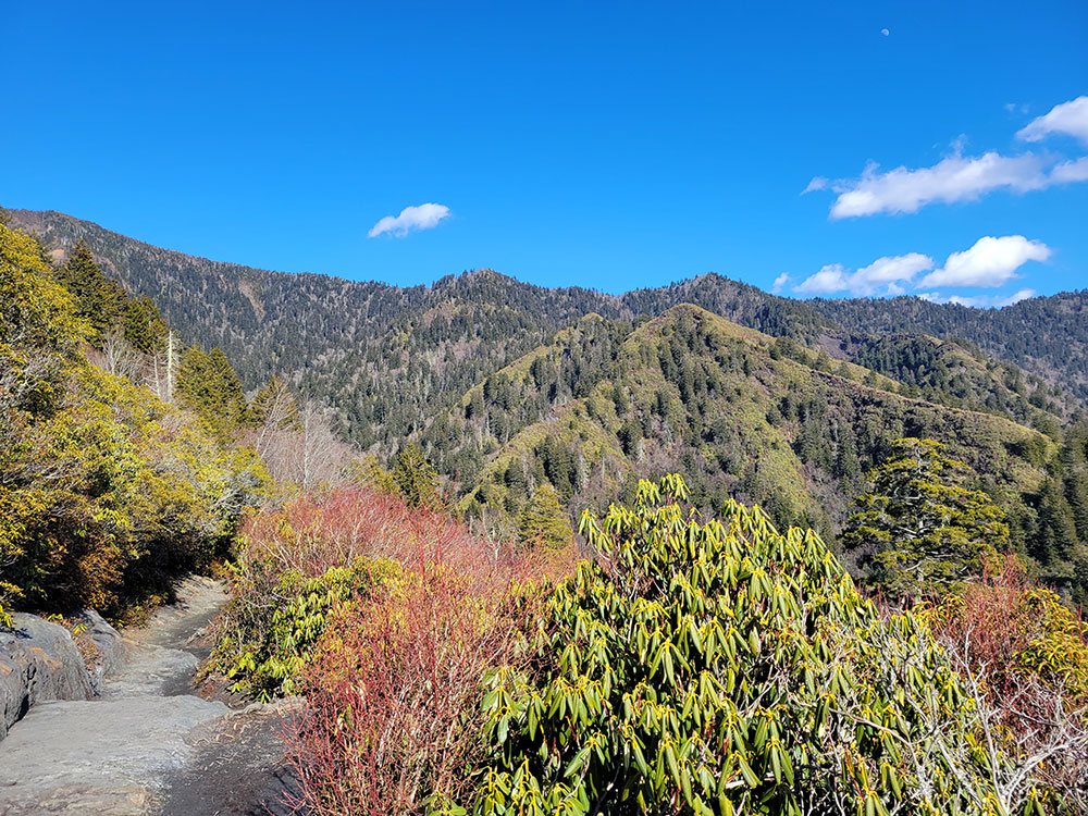 Laurel Falls Alternate Angle
