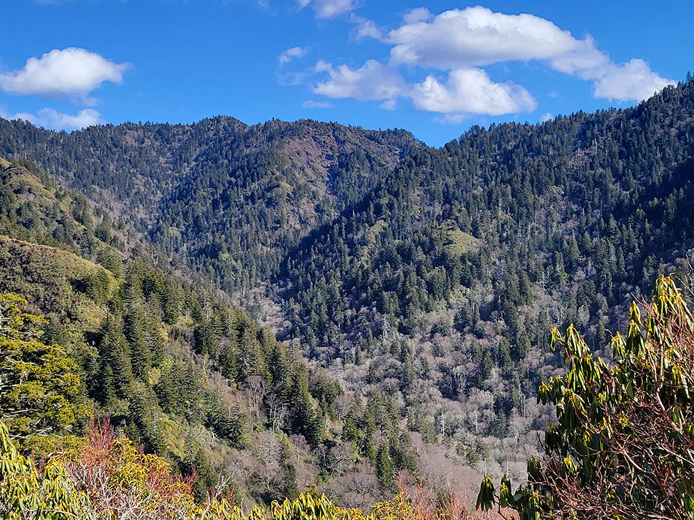 Laurel Falls Lower Falls