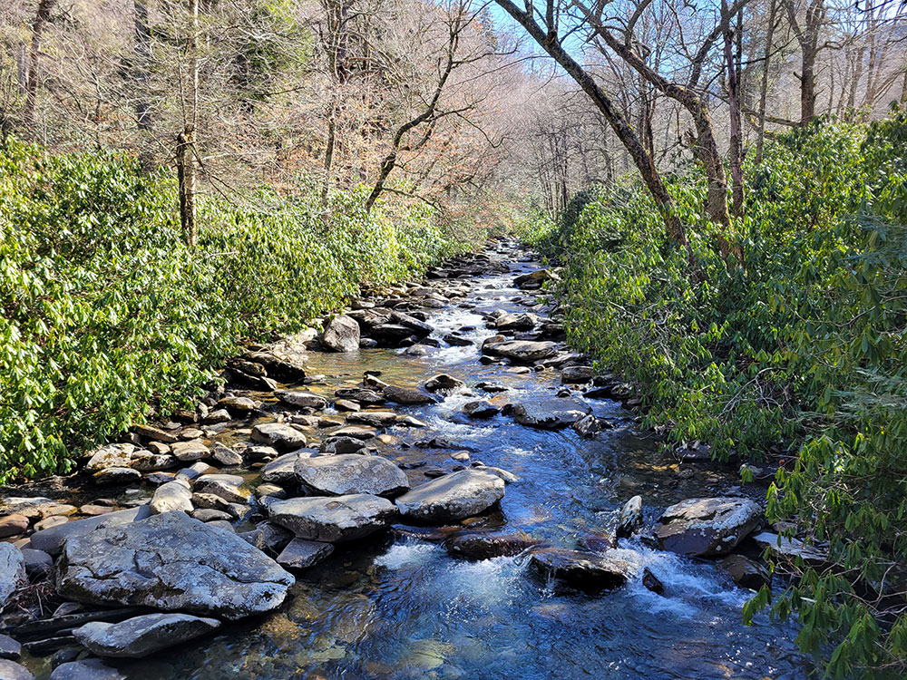 Laurel Falls Alternate Angle