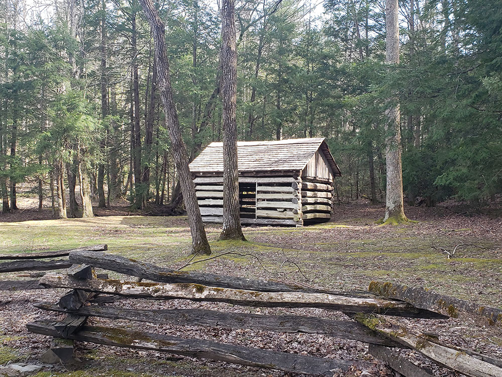 Laurel Falls Alternate Angle
