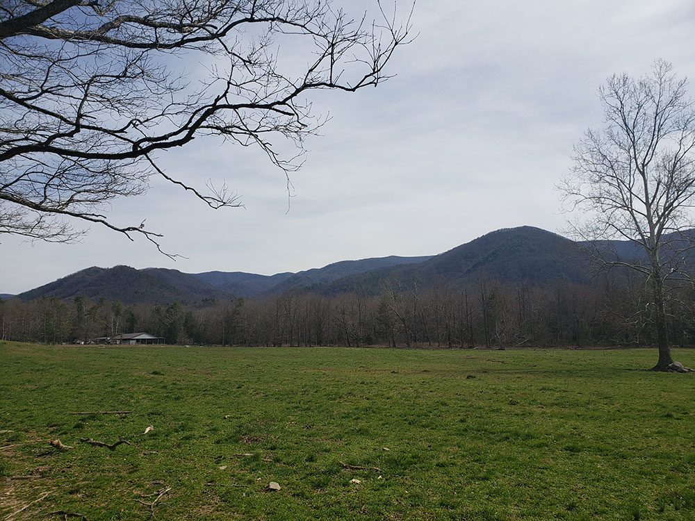 Laurel Falls Lower Falls