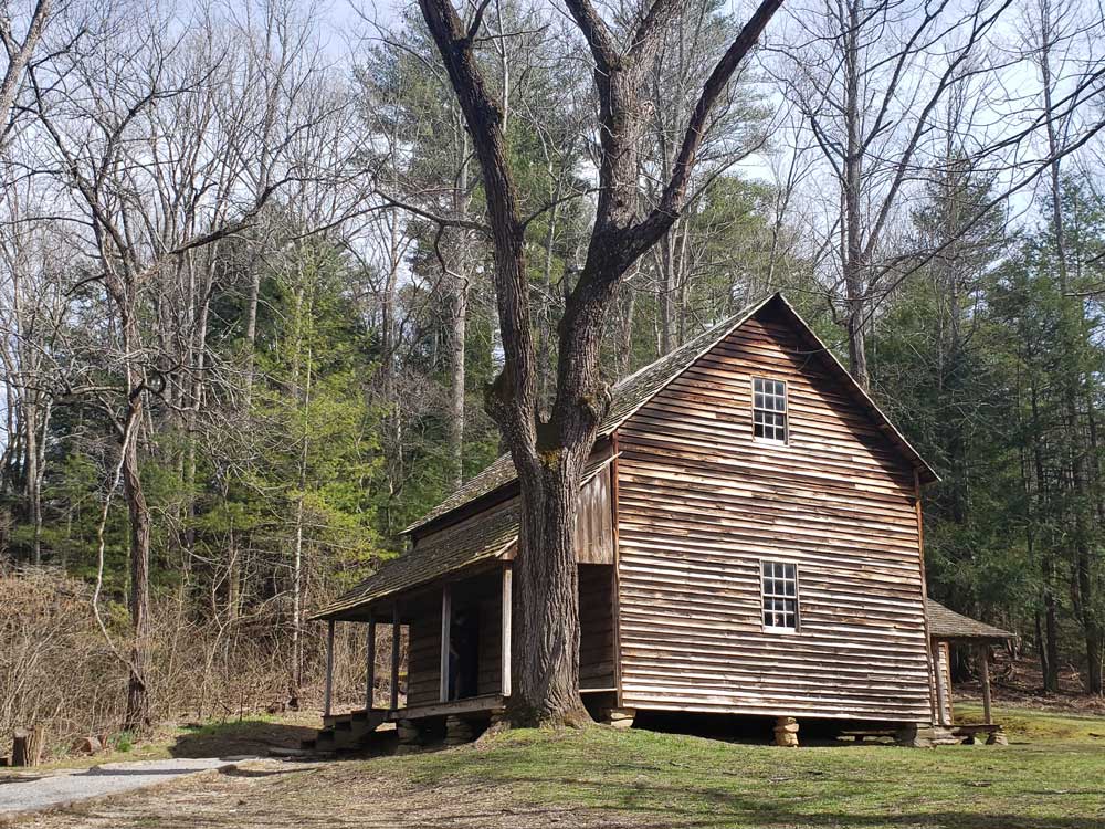 Laurel Falls Alternate Angle