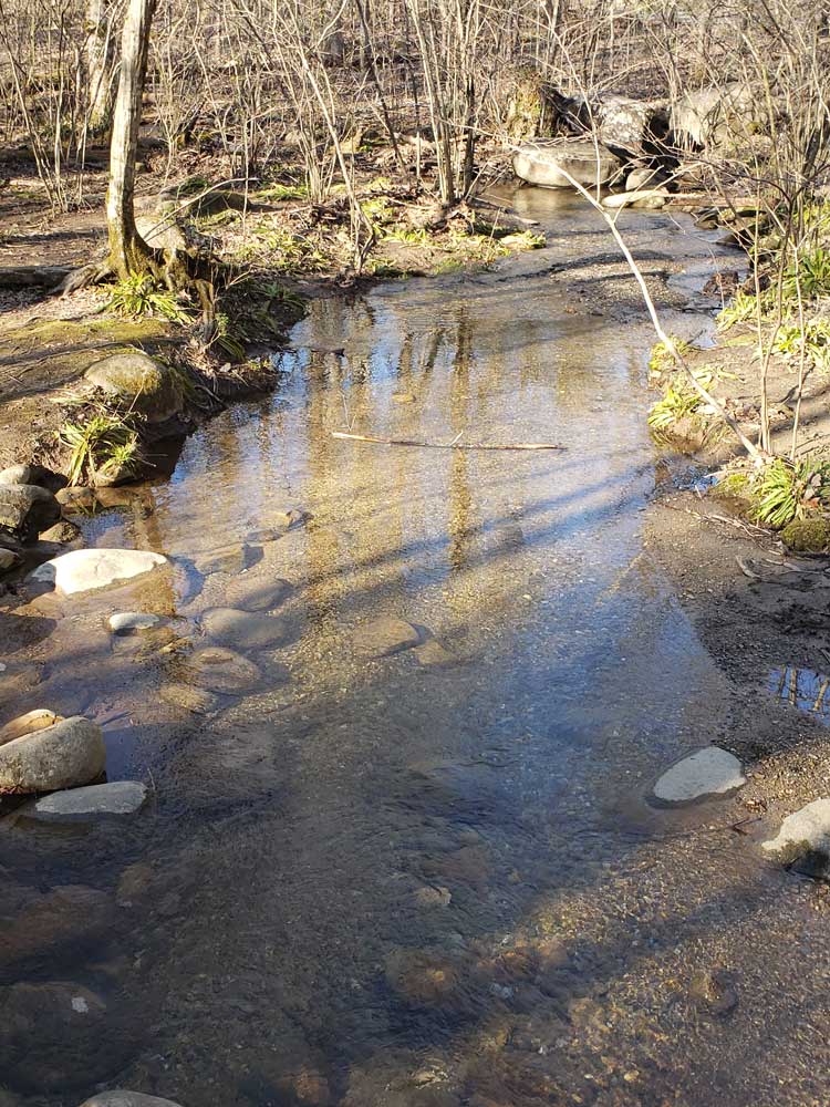 Laurel Falls Alternate Angle