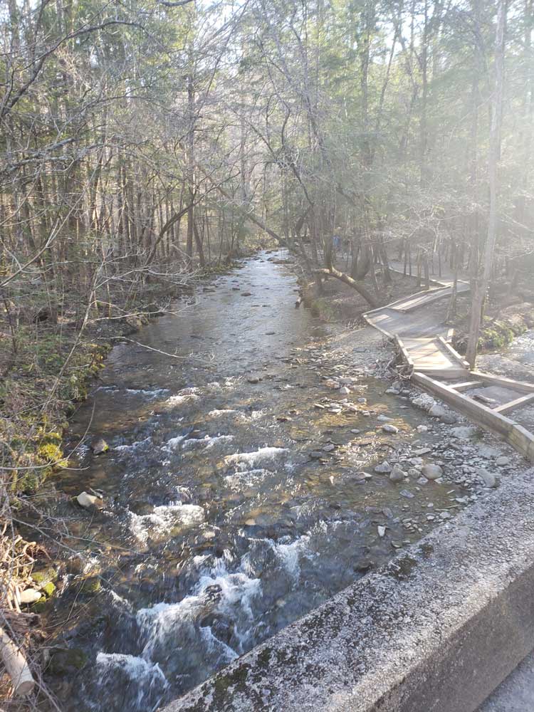 Laurel Falls Lower Falls
