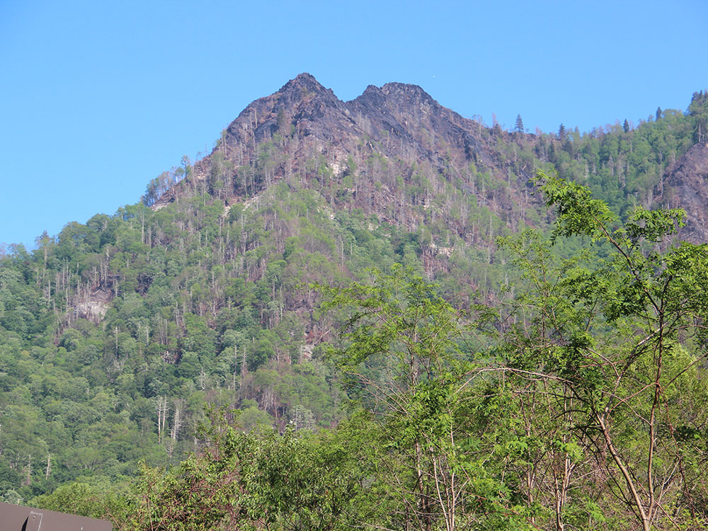 Chimney Tops Trail Ridge