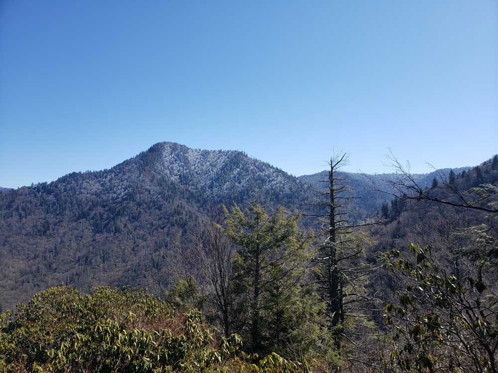 Chimney Tops Trail Stream