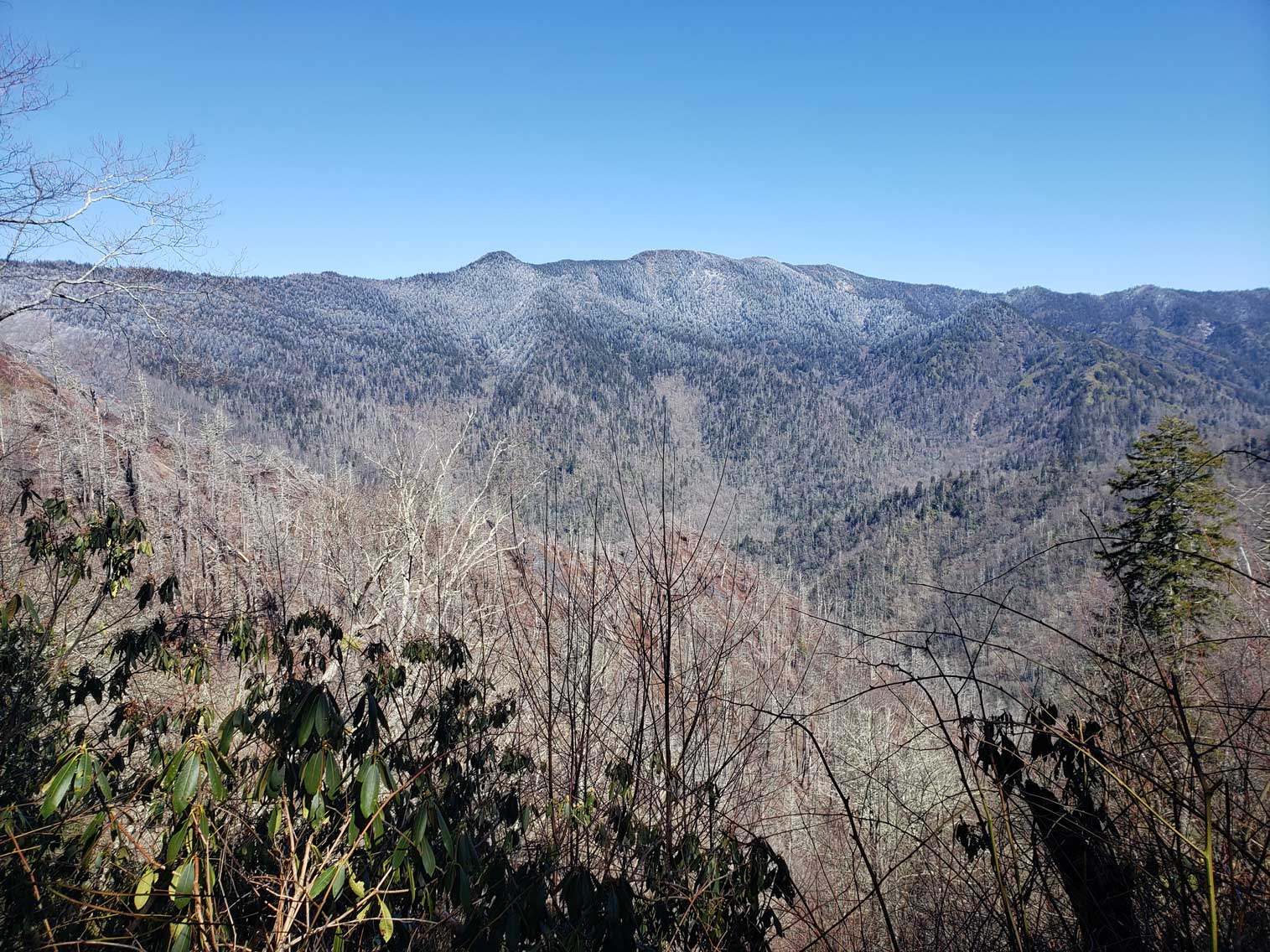 Chimney Tops Trail FUll View
