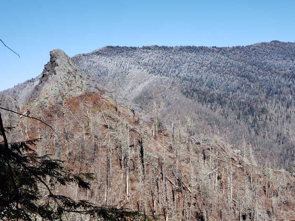 Chimney Tops Trail On Bridge