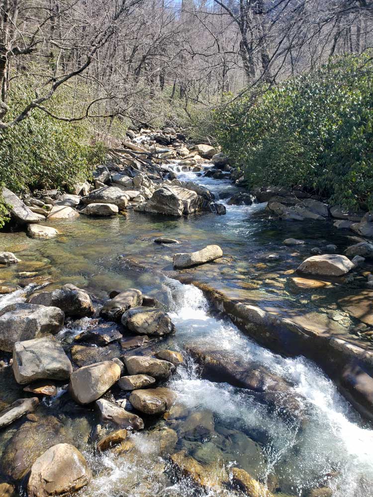 Chimney Tops Trail On Bridge