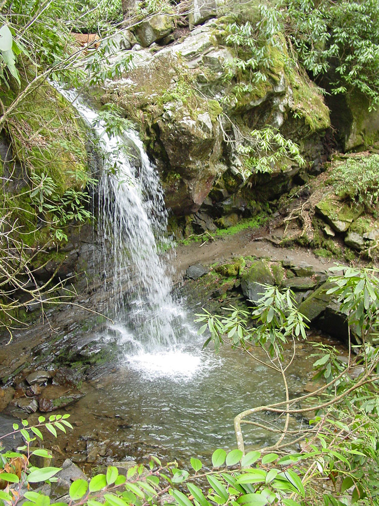 Laurel Falls Lower Falls