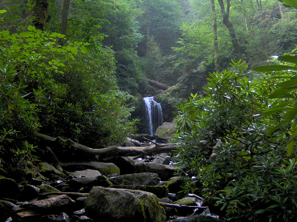 Laurel Falls Lower Falls