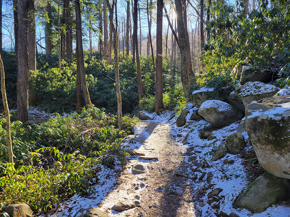 Laurel Falls Lower Falls