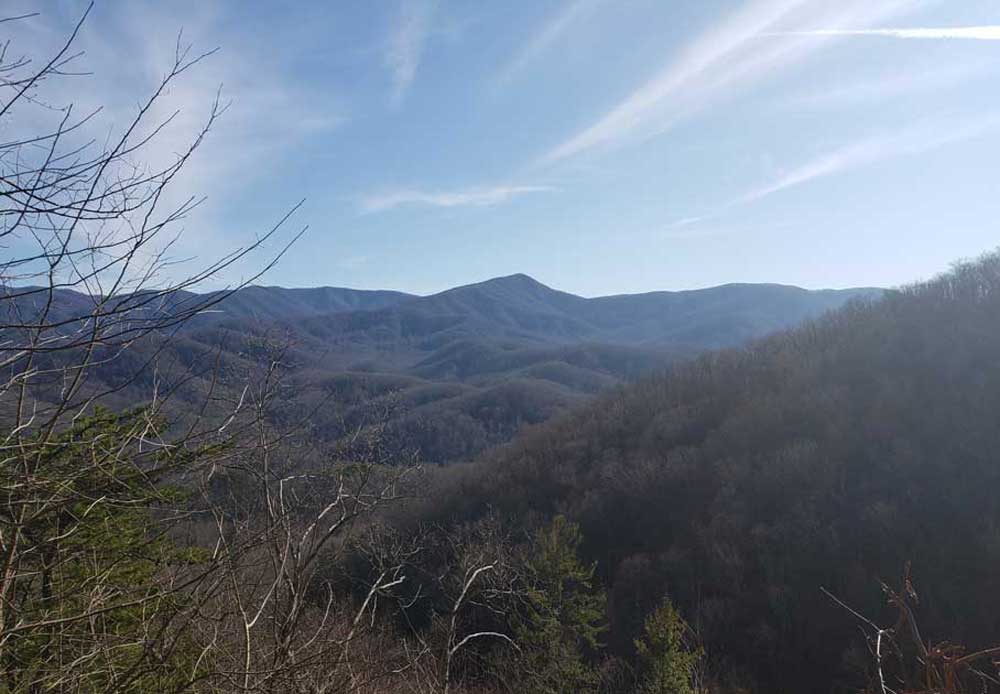 Laurel Falls Lower Falls