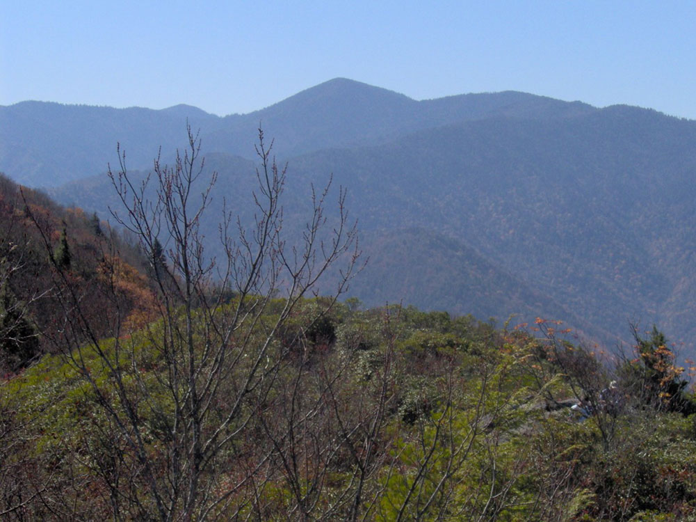 Laurel Falls Valley