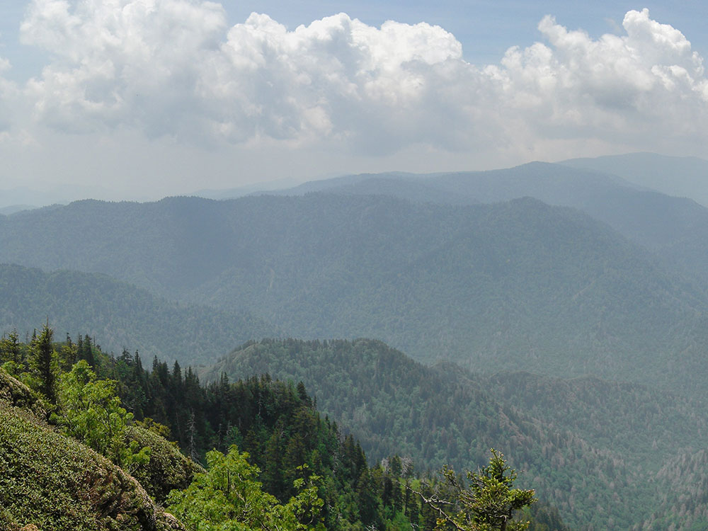 Laurel Falls Lower Falls