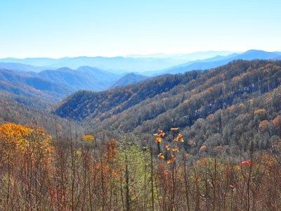 Great Smoky Mountains National Park Laurel Falls