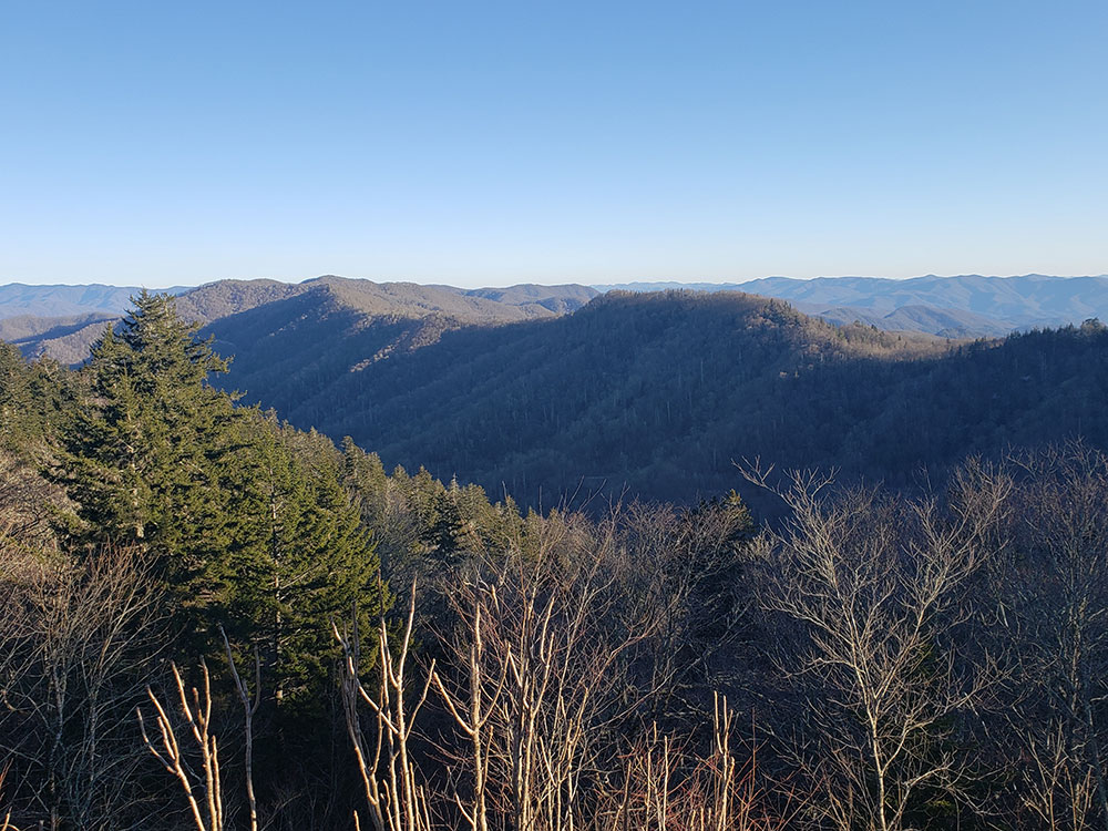 Laurel Falls Lower Falls