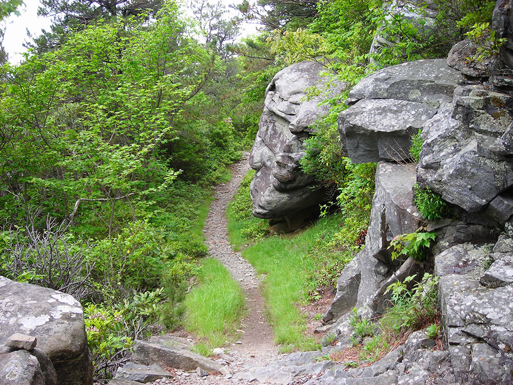 Laurel Falls Valley