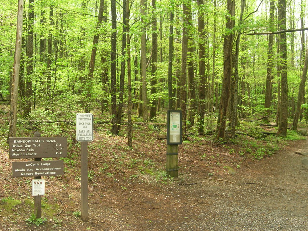 Laurel Falls Alternate Angle