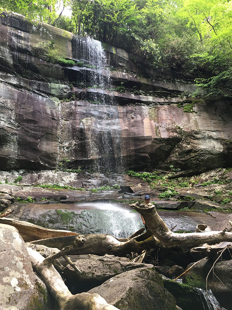 Laurel Falls Lower Falls