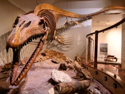Texas Science and Natural History Museum