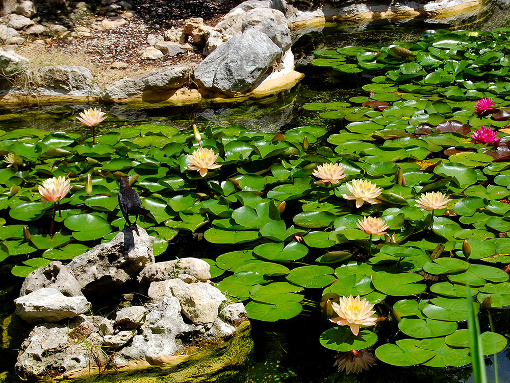 1892 Bishops Palace Front