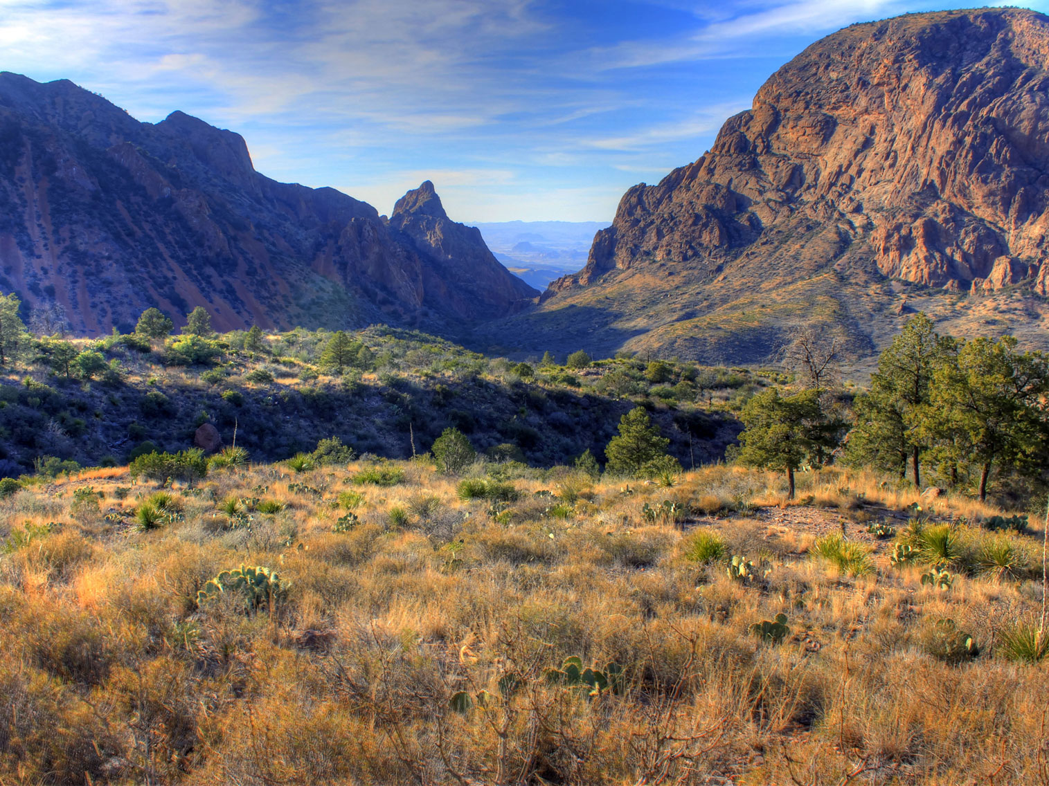 Big Bend National Park