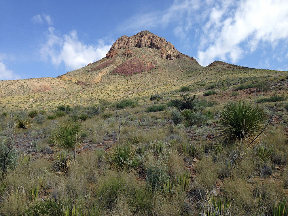 Big Bend National Park Pathway
