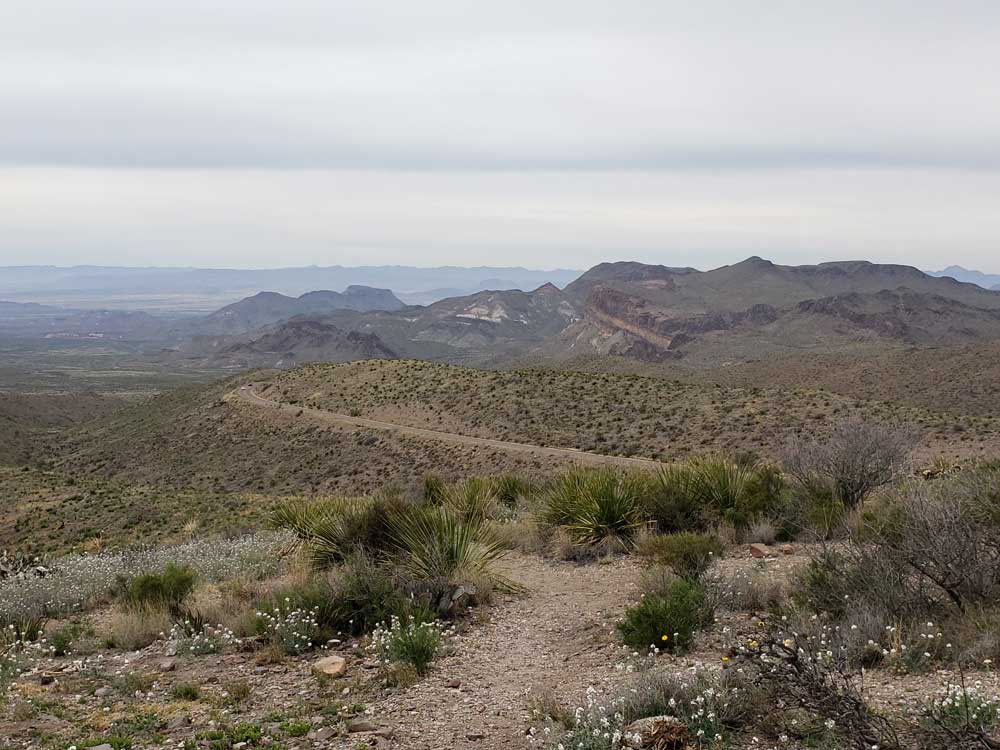 Big Bend National Park Pathway
