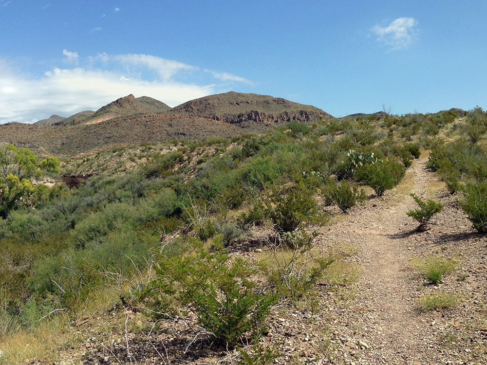 Big Bend Chisos Mountains Field