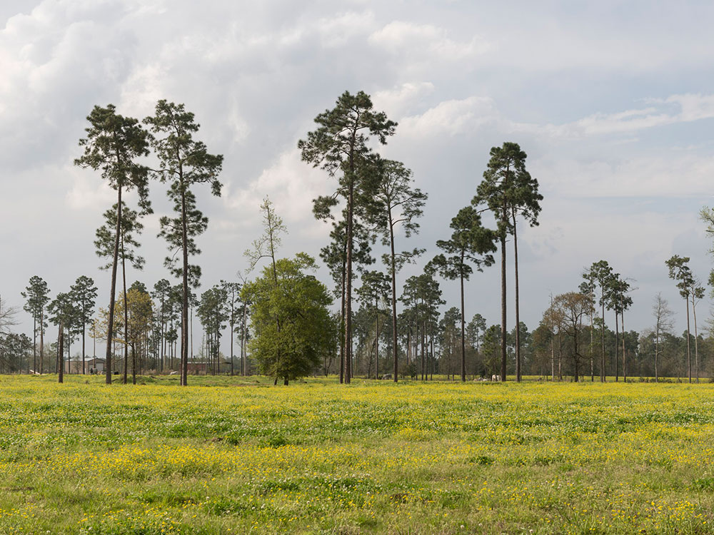 San Antonio Mission San Jose