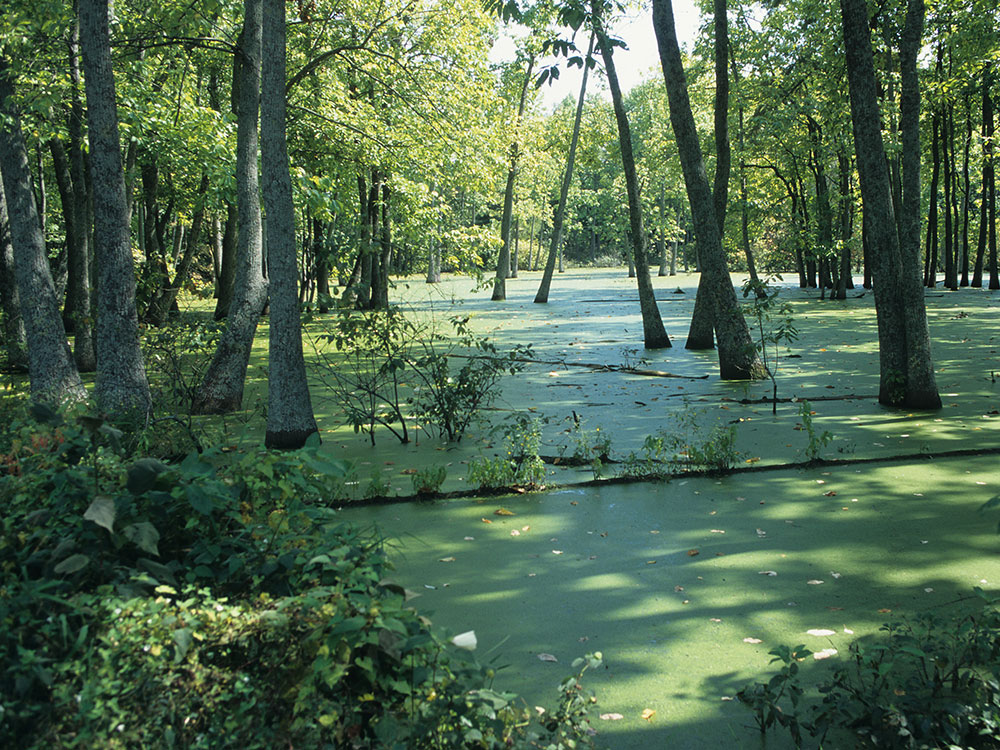 San Antonio Mission San Jose Rear