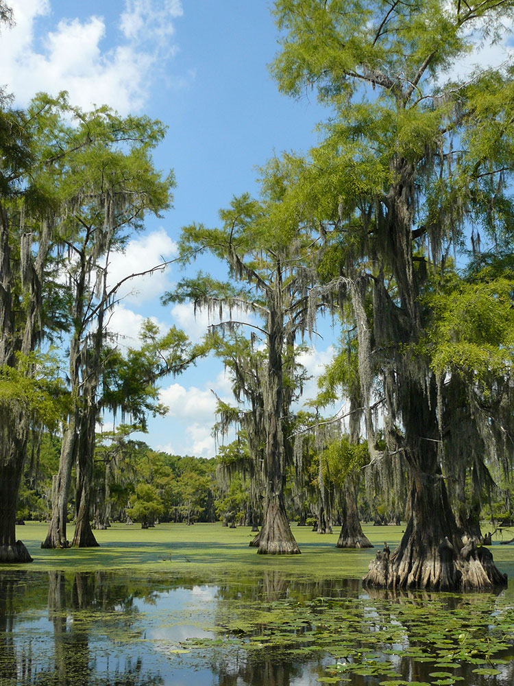 San Antonio Alamo Night 2